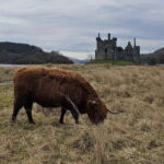 From Edinburgh: West Highlands Luxury Private Day Tour - Scenic Drive through Loch Lomond & The Trossachs National Park