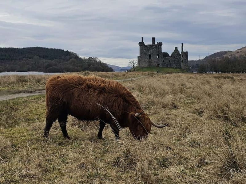 From Edinburgh: West Highlands Luxury Private Day Tour - Scenic Drive through Loch Lomond & The Trossachs National Park