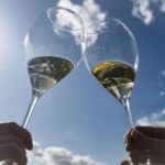 From Epernay : Bubble Champagne Tour 6 tastings - Starting Point and Practical Details