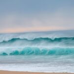 From Evora: Horseback riding on comporta beach - Starting Point at Hotel MAr de Ar Muralhas in Evora