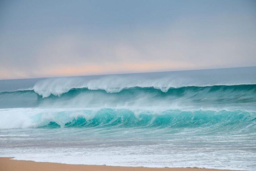 From Evora: Horseback riding on comporta beach - Starting Point at Hotel MAr de Ar Muralhas in Evora