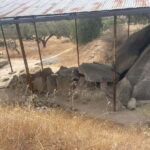 From Evora: Prehistoric Monuments and City Tour - Starting Point and Transportation in Evora