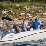 From Faana: Private boat tour of Brijuni Islands - Starting Point at Fazana Port for a Scenic Cruise