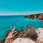 From Faro: Benagil Cave, Marinha, & Carvoeiro Full-Day Tour - Exploring Marinha Beach and Its Stunning Vistas
