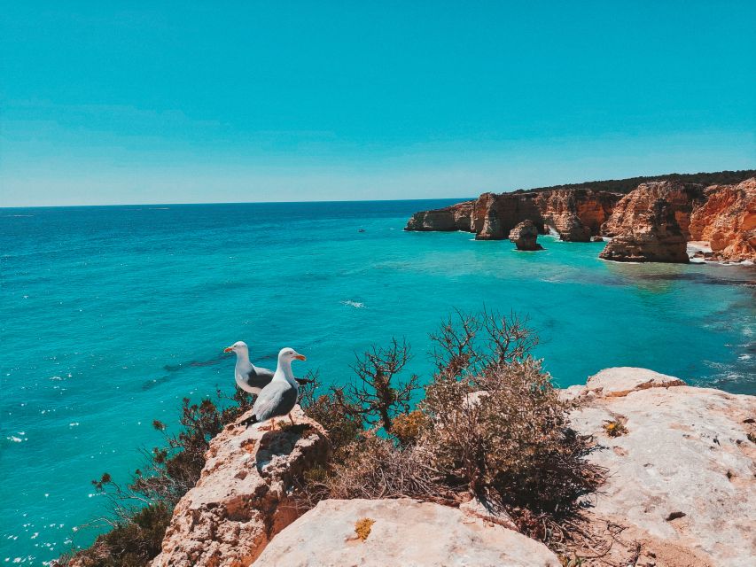 From Faro: Benagil Cave, Marinha, & Carvoeiro Full-Day Tour - Exploring Marinha Beach and Its Stunning Vistas