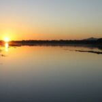 From Faro: Ria Formosa Sunset Boat Trip - The Eco-friendly Solar-Powered Boat