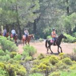 From Fethiye: Horse Riding Adventure - Scenic Route Through Fethiye’s Pine Forests and Countryside
