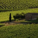From Florence: Chianti Wine Tastings at Sunset Day Trip - Scenic Stops and Photo Opportunities in Chianti
