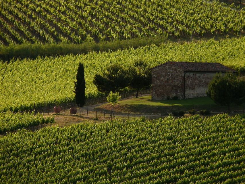 From Florence: Chianti Wine Tastings at Sunset Day Trip - Scenic Stops and Photo Opportunities in Chianti