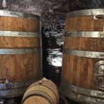 From Florence: Pisa/Chianti Half Day Tour with Wine Tasting - Scenic Drive through Chiantis Rolling Vineyards and Countryside