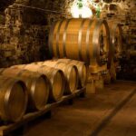 From Florence: Small Group Chianti Wine Tour with Lunch - Visiting a Modern Winery with Innovative Cellars