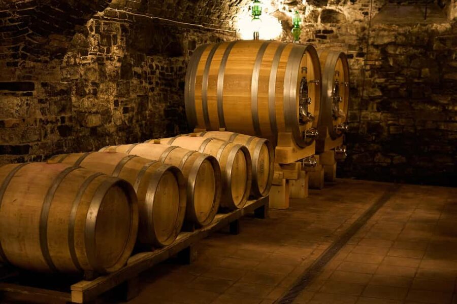 From Florence: Small Group Chianti Wine Tour with Lunch - Visiting a Modern Winery with Innovative Cellars