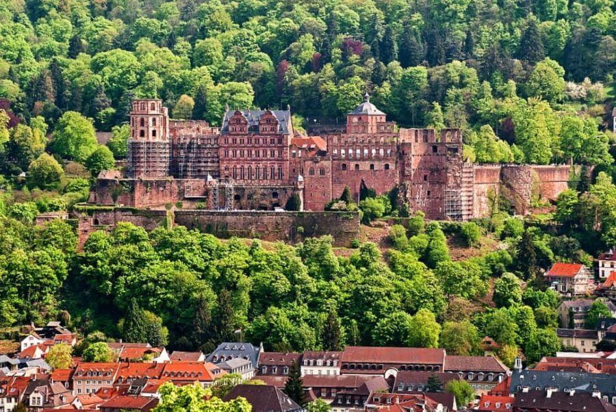 From Frankfurt: Heidelberg, Rüdesheim & Rhine Valley Cruise - Visiting Assmannshausen and Return to Frankfurt