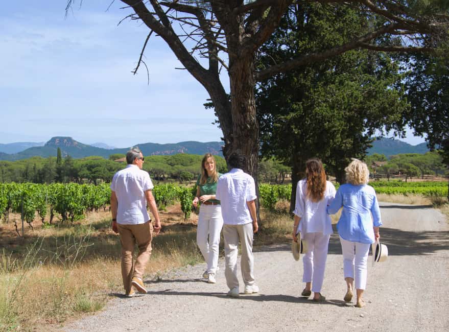 From Fréjus: Van tour to the heart of the Provençal vineyards - Visiting Three Authentic Vineyards in the Var Region