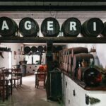 From Fuerteventura: Lanzarote Tour (lunch, winery and more) - Ferry from Corralejo to Playa Blanca: the starting point