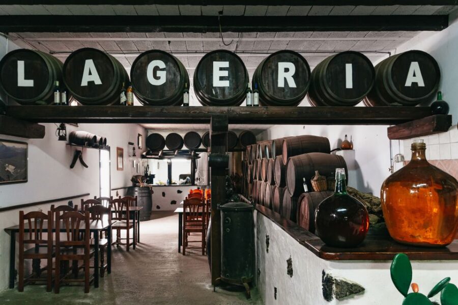 From Fuerteventura: Lanzarote Tour (lunch, winery and more) - Ferry from Corralejo to Playa Blanca: the starting point