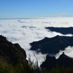 From Funchal: East Tour Madeira 4x4 Jipe Tour Santana Houses - Key Points