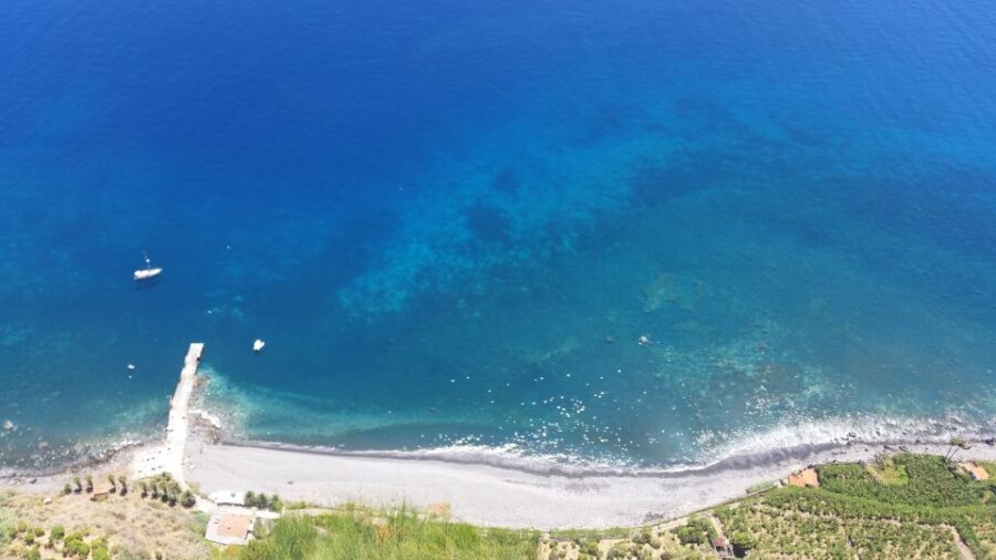 From Funchal: Eucalyptus Forest Guided 4x4 Tour - The Stop at Jardim da Serra and Local Drinks