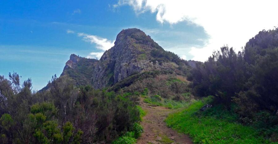 From Funchal: Machico to Porto da Cruz Larano Cliff Hike - The Itinerary: From Machico to Porto da Cruz