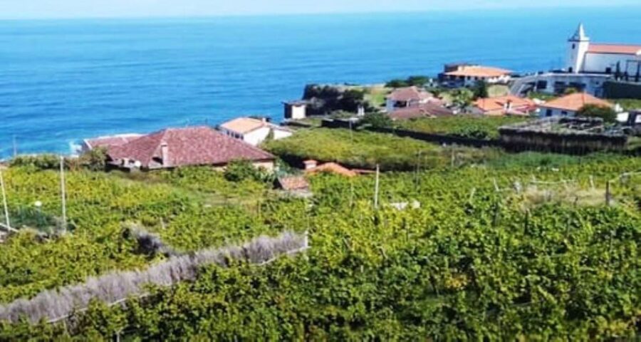 From Funchal: Madeira Wine Tour, Cable Car & Typical Lunch - Starting Point and Transportation Logistics in Madeira