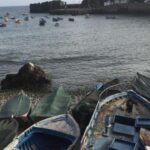 From Funchal: West Madeira and Laurel Forest Day Trip - The Laurel Forest in Fanal: A Nature Lover’s Dream