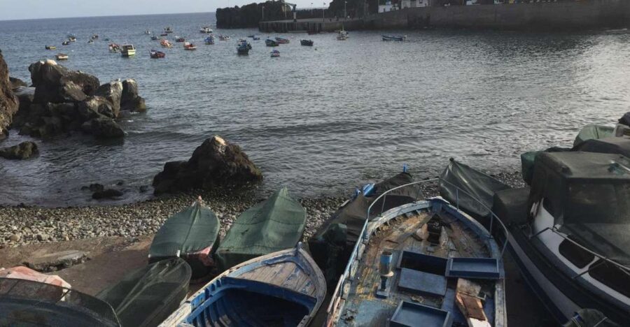 From Funchal: West Madeira and Laurel Forest Day Trip - The Laurel Forest in Fanal: A Nature Lover’s Dream