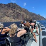 From Funchal: Whale and Dolphin Watching - The Departure Point and How to Find Your Tour