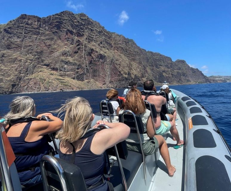 From Funchal: Whale and Dolphin Watching - The Departure Point and How to Find Your Tour
