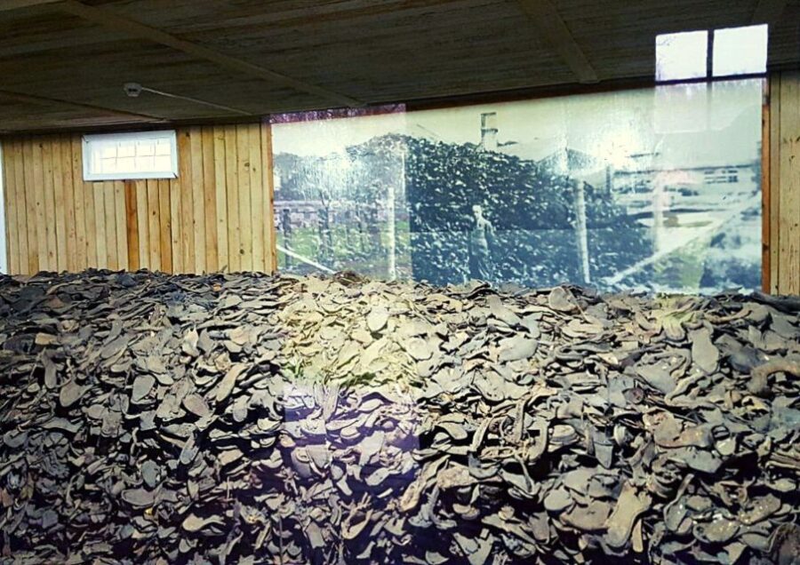 From Gdansk: Stutthof Concentration Camp Tour with Transfer - How the Tour Combines Comfort and Education in Poland