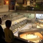 From Geneva: Gruyères Cheese & Chocolate Full-Day Trip - Inside Castle Gruyères and Giger Museum