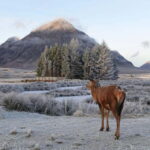 From Glasgow: Oban, Glencoe & Highlands Day Tour - Scenic Drive Through the Scottish Highlands and Loch Lomond