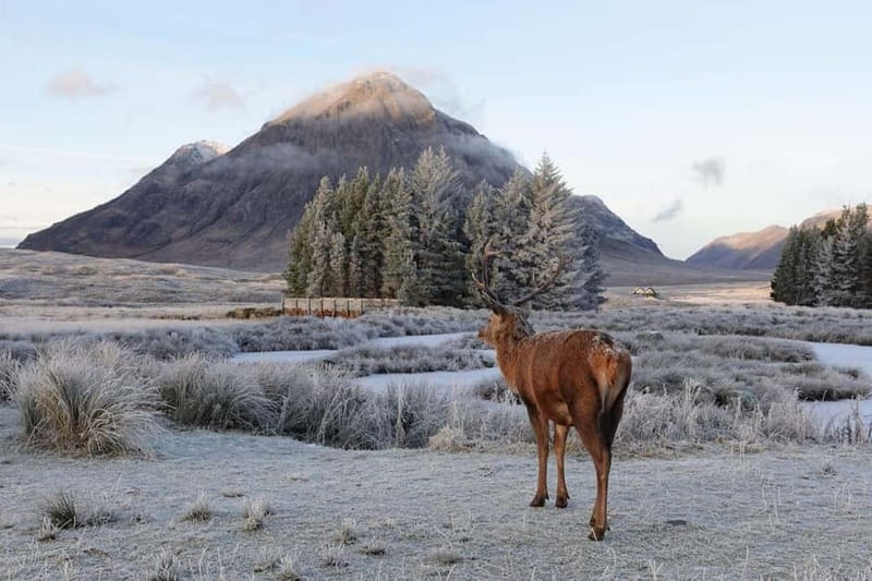 From Glasgow: Oban, Glencoe & Highlands Day Tour - Scenic Drive Through the Scottish Highlands and Loch Lomond