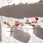 From Granada: Alpujarra Region Full Day Tour - Visiting Lanjarón: The Town of Fountains and Poetry