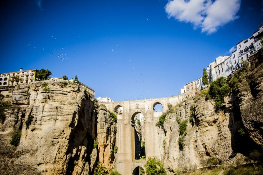 From Granada: Ronda Guided Tour - Ronda’s Historic Streets and Architectural Gems