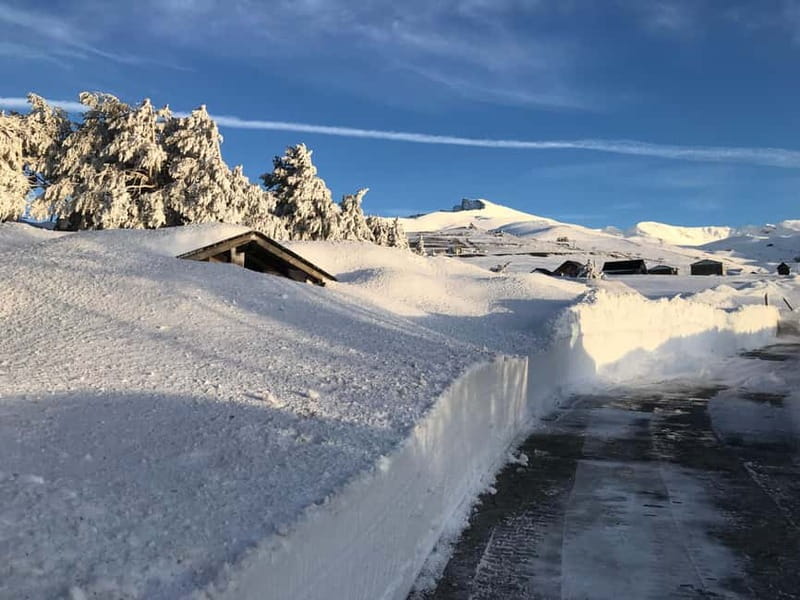 From Granada: Sierra Nevada Safari up to 2500 meters high - Discovering the Mountain Trails from Granada