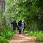 From Helsinki: Berry Picking Day Trip in a National Park - Exploring Liesjärvi National Park: Forests and Lakeside Views