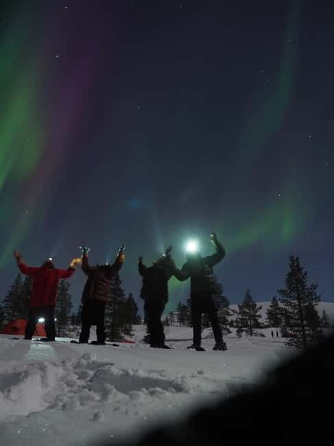 From Helsinki: Guided Forest Walk in the dark with campfire - Guided Forest Walk: Discovering Finnish Nature at Night