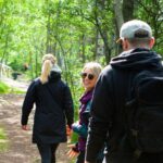 From Helsinki: Magical Taiga Hike in Liesjärvi National Park - Exploring Liesjärvi National Park’s Remote Beauty