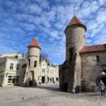 From Helsinki: Tallinn Guided Day-Trip incl. Ferry & Dinner - Free Time for Personal Exploration