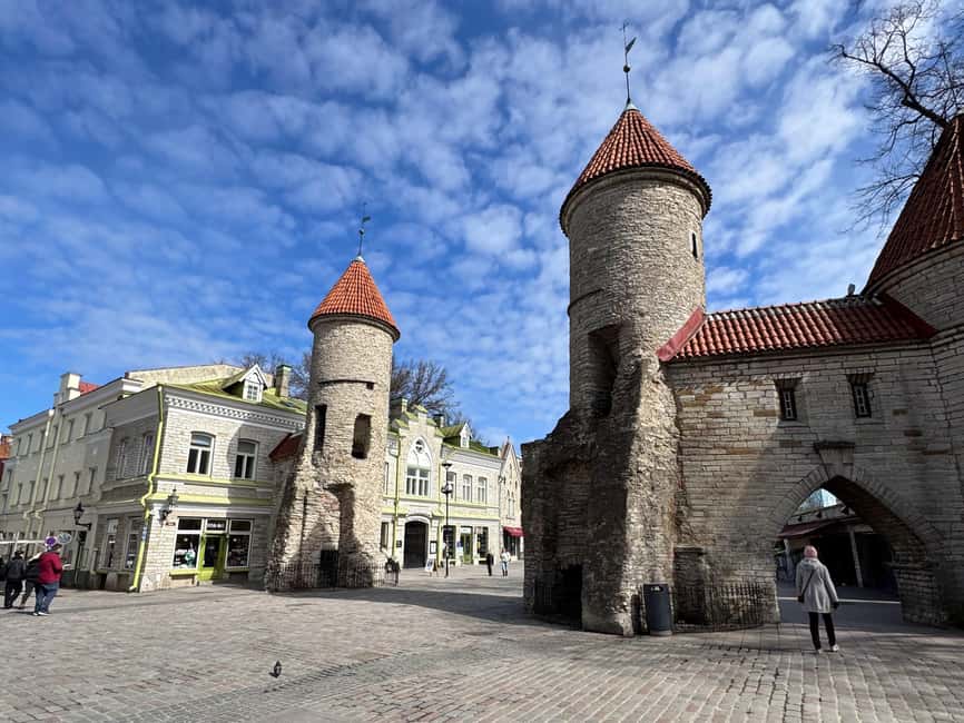 From Helsinki: Tallinn Guided Day-Trip incl. Ferry & Dinner - Free Time for Personal Exploration