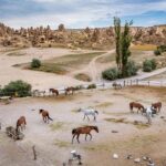 From Istanbul: Cappadocia, Ephesus, & Pamukkale Private Tour - Exploring North Cappadocia and Its Cultural Treasures