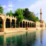 From Istanbul: Göbeklitepe Day Trip with Return Flights - From Istanbul to anlurfa: Convenient Flight Arrangements