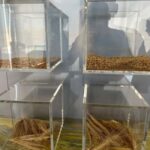 From Istanbul: Mount Nemrut & Göbekli Tepe 2-Day Tour - Starting the Adventure: Flights and Meet-Up at Adyaman Airport