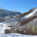 From Istanbul: Private Day Trip to Sapanca Lake and Maukiye - Pickup in Istanbul and Personal Driver Service