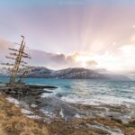 From Kiruna: Narvik City and Fjord Day Trip - Scenic Journey from Kiruna to Narvik