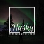 From Kiruna: Northern Lights Guided Husky Sledding Adventure - The Unique Arctic Nighttime Adventure from Kiruna