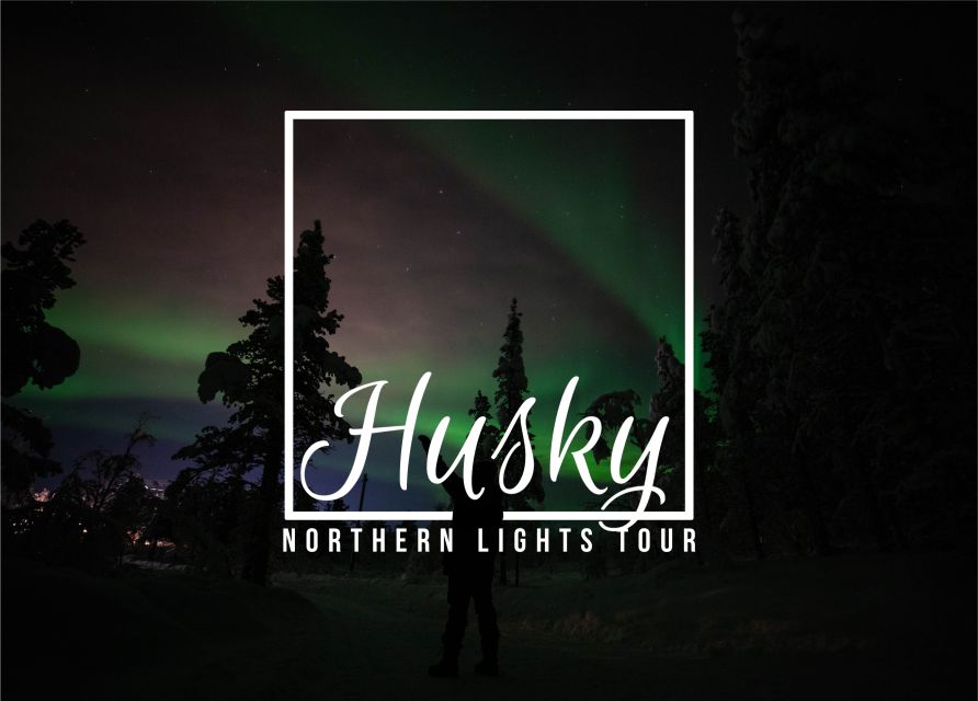 From Kiruna: Northern Lights Guided Husky Sledding Adventure - The Unique Arctic Nighttime Adventure from Kiruna