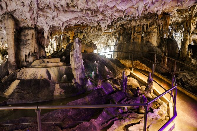 From Koper Postojna Cave and Ljubljana Day Tour - Practical details about the tour logistics and inclusions