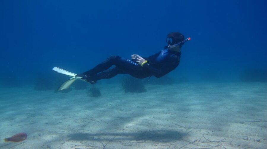 From Kos: Pserimos Island Snorkeling Cruise by Diving Boat - Starting Point in Kos Harbor Near Dolphins Roundabout