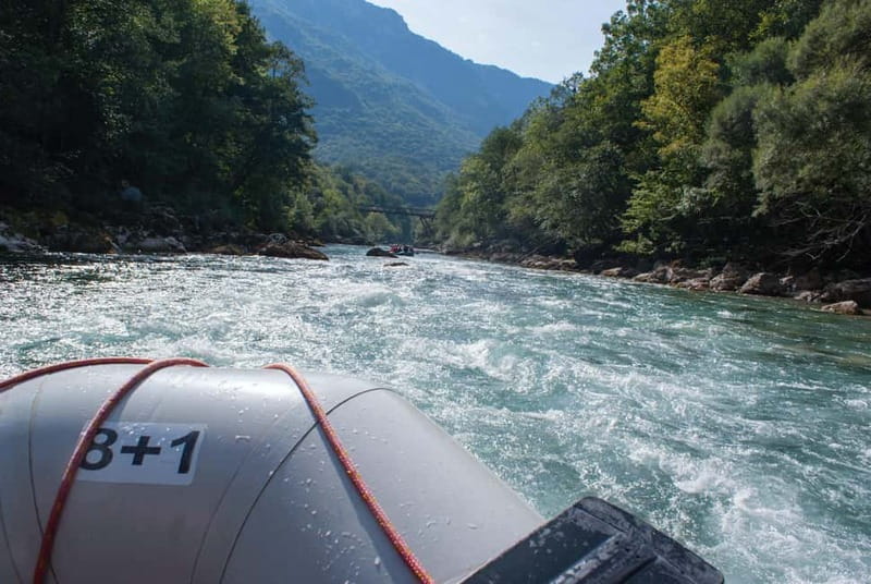 From Kotor: Montenegro Tara Rafting - Starting in Kotor and the Journey North